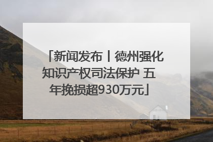 新闻发布丨德州强化知识产权司法保护 五年挽损超930万元