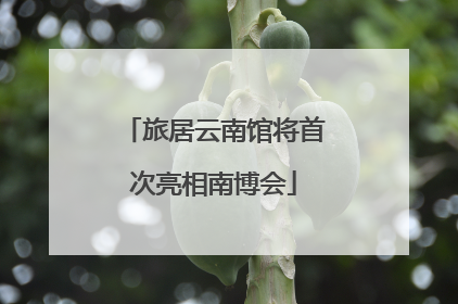 旅居云南馆将首次亮相南博会