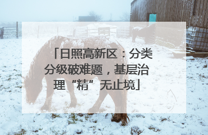 日照高新区：分类分级破难题，基层治理“精”无止境