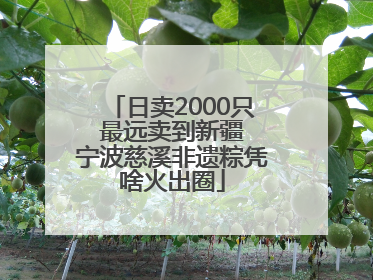 日卖2000只 最远卖到新疆 宁波慈溪非遗粽凭啥火出圈
