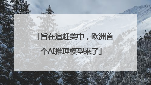 旨在追赶美中，欧洲首个AI推理模型来了