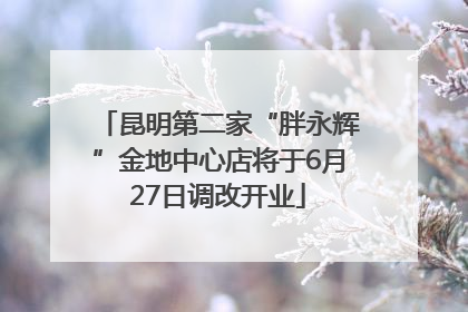 昆明第二家“胖永辉”金地中心店将于6月27日调改开业