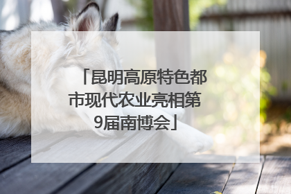 昆明高原特色都市现代农业亮相第9届南博会