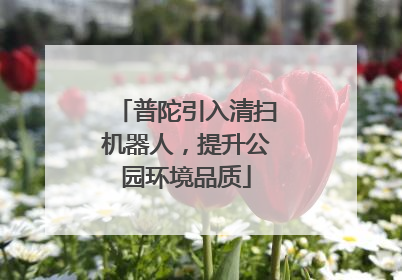 普陀引入清扫机器人，提升公园环境品质