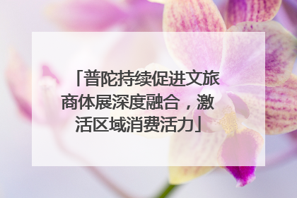 普陀持续促进文旅商体展深度融合，激活区域消费活力