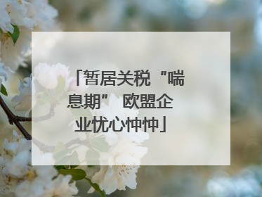 暂居关税“喘息期” 欧盟企业忧心忡忡