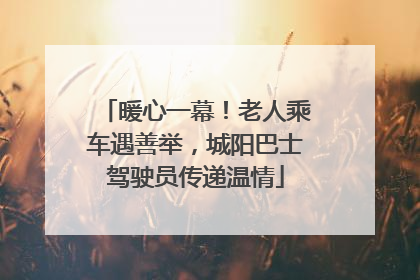 暖心一幕！老人乘车遇善举，城阳巴士驾驶员传递温情