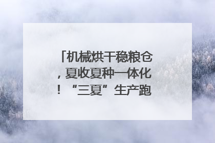 机械烘干稳粮仓，夏收夏种一体化！“三夏”生产跑出加速度｜麦报