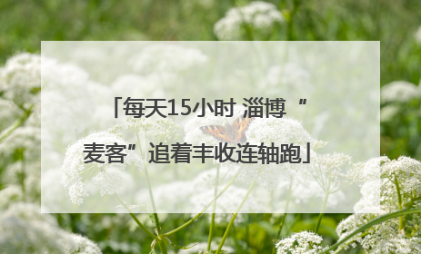 每天15小时 淄博“麦客”追着丰收连轴跑