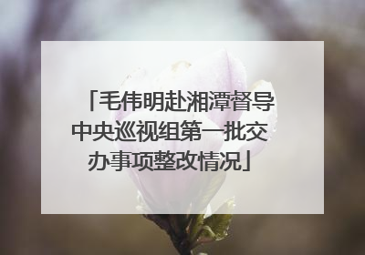 毛伟明赴湘潭督导中央巡视组第一批交办事项整改情况