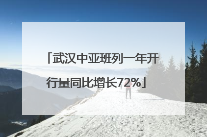 武汉中亚班列一年开行量同比增长72%