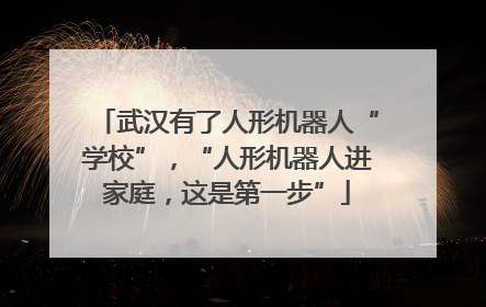 武汉有了人形机器人“学校”，“人形机器人进家庭，这是第一步”