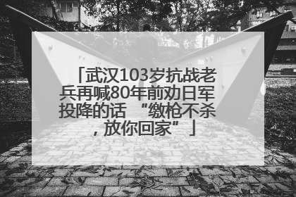 武汉103岁抗战老兵再喊80年前劝日军投降的话 “缴枪不杀，放你回家”