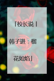 校长说丨韩子进：榴花如焰