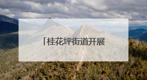 桂花坪街道开展六五环保活动，共筑绿色家园