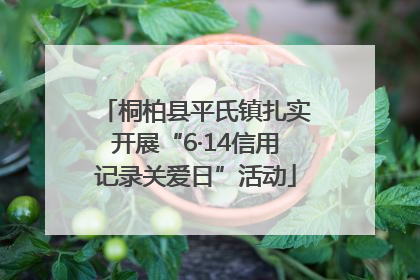 桐柏县平氏镇扎实开展“6·14信用记录关爱日”活动
