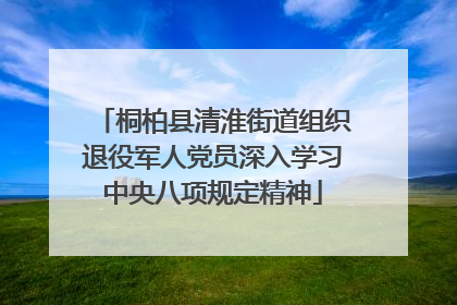 桐柏县清淮街道组织退役军人党员深入学习中央八项规定精神