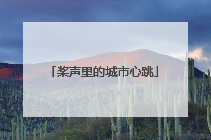桨声里的城市心跳