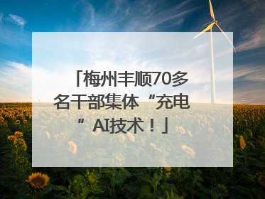 梅州丰顺70多名干部集体“充电”AI技术！