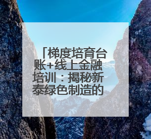 梯度培育台账+线上金融培训：揭秘新泰绿色制造的精准滴灌模式