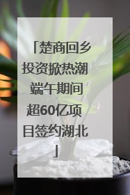 楚商回乡投资掀热潮 端午期间超60亿项目签约湖北
