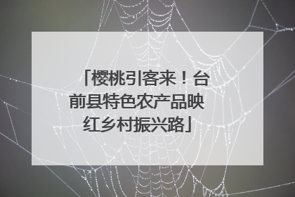 樱桃引客来！台前县特色农产品映红乡村振兴路