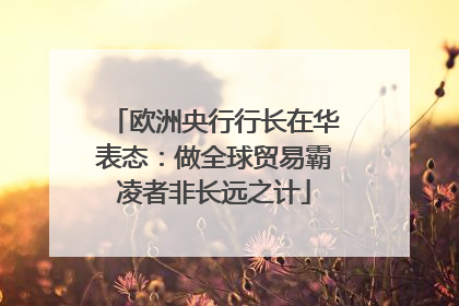 欧洲央行行长在华表态：做全球贸易霸凌者非长远之计
