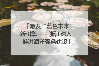 激发“蓝色未来”新引擎——浙江深入推进海洋强省建设
