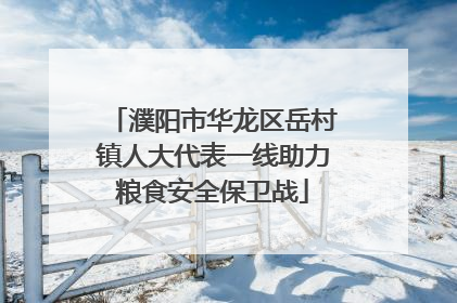 濮阳市华龙区岳村镇人大代表一线助力粮食安全保卫战