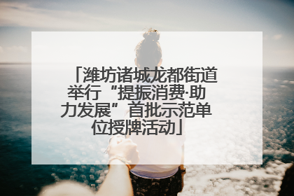 潍坊诸城龙都街道举行“提振消费·助力发展”首批示范单位授牌活动