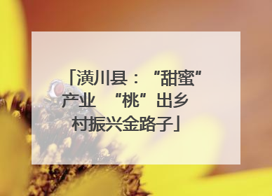 潢川县：“甜蜜”产业  “桃”出乡村振兴金路子