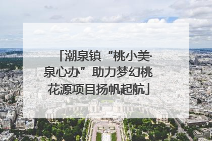 潮泉镇“桃小美·泉心办”助力梦幻桃花源项目扬帆起航