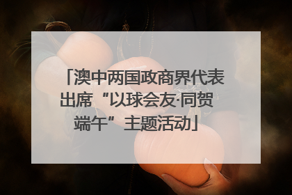 澳中两国政商界代表出席“以球会友·同贺端午”主题活动