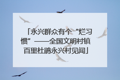 永兴群众有个“烂习惯”——全国文明村镇百里杜鹃永兴村见闻