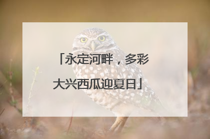 永定河畔，多彩大兴西瓜迎夏日