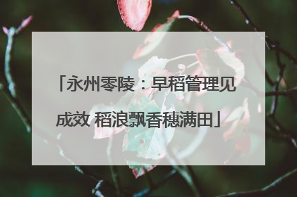 永州零陵：早稻管理见成效 稻浪飘香穗满田