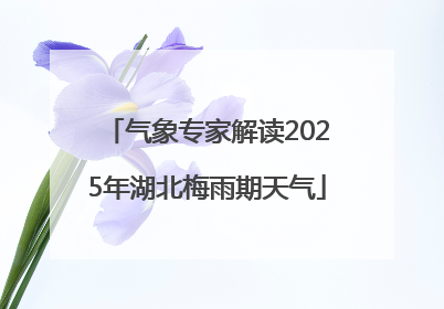 气象专家解读2025年湖北梅雨期天气