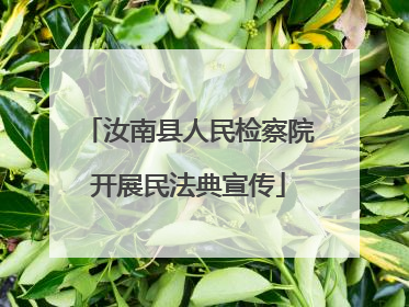 汝南县人民检察院开展民法典宣传