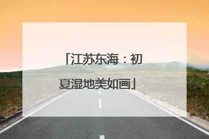 江苏东海：初夏湿地美如画