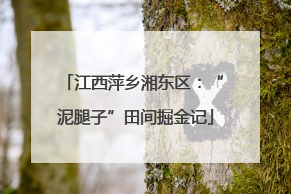 江西萍乡湘东区：“泥腿子”田间掘金记