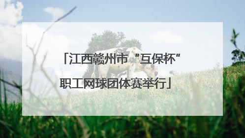 江西赣州市“互保杯”职工网球团体赛举行