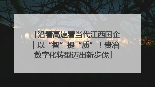 沿着高速看当代江西国企｜以“智”提“质”！贵冶数字化转型迈出新步伐