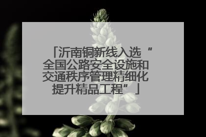 沂南铜新线入选“全国公路安全设施和交通秩序管理精细化提升精品工程”