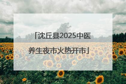 沈丘县2025中医养生夜市火热开市