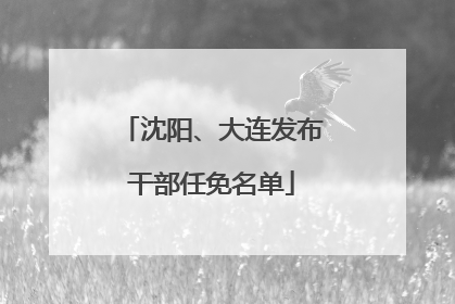沈阳、大连发布干部任免名单