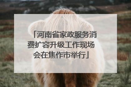 河南省家政服务消费扩容升级工作现场会在焦作市举行