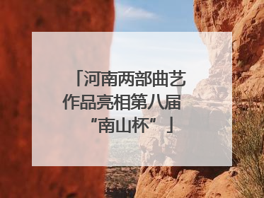 河南两部曲艺作品亮相第八届“南山杯”