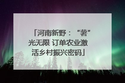 河南新野：“薯”光无限 订单农业激活乡村振兴密码