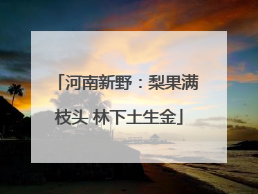 河南新野：梨果满枝头 林下土生金