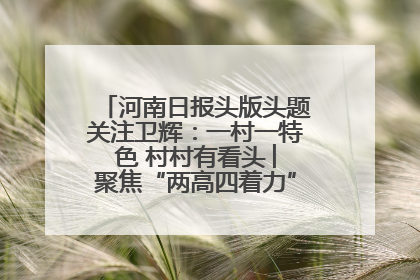 河南日报头版头题关注卫辉：一村一特色 村村有看头 ︳聚焦“两高四着力”·一“县”观察